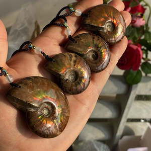 Colgante de Amolita Natural con Cordón, Collar de Concha de Fósil de Amonita Iridiscente Hecho a Mano para Mujeres y Hombres - Product Image 5