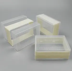 Pente de plástico de alta qualidade com 250g/500g, pente de mel de qualidade alimentar/recipiente