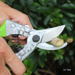 Taiwan Made Bypass <b>Pruner</b> Carbon Steel 20-30 Mm For Tree Flower Fruit Gardening - Product Image 2
