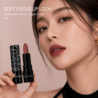 Fournisseur de Rouge à Lèvres en Gros, Gloss à Lèvres Mat Velours, Marque Privée, Rouge à Lèvres Cosmétique, Rouge à Lèvres Imperméable Longue Durée, Tube de Rouge à Lèvres OEM ODM