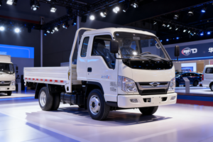 <span class=keywords><strong>รถ</strong></span>บรรทุกขนาดเล็กฟอร์แลนด์ มินิ ลอร์รี่ ขับเคลื่อน 4x2 บรรทุกได้ 1 ตัน พวงมาลัยขวา - Product Image 5