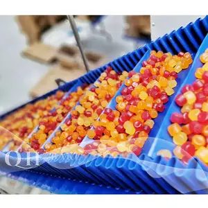 Vitamin B12 Vitamin A C machine for candy factory Stainless Steel Vitamin Soft Candy molding line gummy bear charm machine