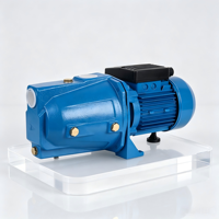 Pompe auto-amorçante YINJIA JET100B 1HP à haute pression, monophasée, entièrement automatique, avec moteur AC, roue en laiton et joint céramique, OEM, 40m