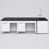 Banc de laboratoire métallique standard pour salle blanche avec robinet de laboratoire pour fabricants de laboratoires