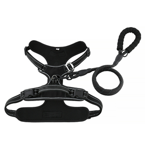 Arnés para perros personalizado 2021, conjunto de arnés y correa para cachorros, Oxford impermeable de nailon reflectante con malla acolchada y función de separación - Product Image 2