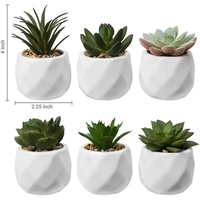 6 Pièces de Petites Plantes Succulentes Artificielles Naturelles avec Pots – Décoration de Bureau et Maison – Ensembles de Plantes en Pot Artificielles