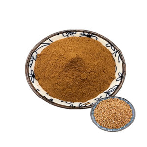 Estratto Naturale in Polvere di Semi di Senape Bianca (Semen Brassicae, Semen Sinapis Albae) - Product Image 1