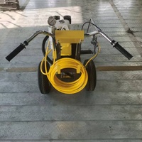 Machine de marquage routier à pulvérisation à froid Roadshine 4L, pompe à diaphragme manuelle, moteur 5.5HP, garantie 1 an - Vente chaude