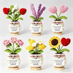 Factory Custom Positive Energy Festival Birthday Gift <b>Decorative</b> Tabletop Desk Ornament Multi-Color Potted Plant Crochet Flower - Product Image 3