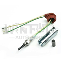 Kit de bougies d'allumage en céramique 12V 24V 2KW 5KW 8KW pour chauffage de stationnement diesel à air