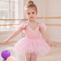 Justaucorps de ballet pour filles, robe tutu en tulle brodée de fleurs/décorations flocon de neige, robe de princesse pour tout-petits, idéale pour les cours de danse et les spectacles sur scène