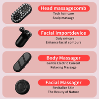 Usage domestique multifonctionnel Anti-chute de cheveux 4 en 1 cuir chevelu peigne de Massage croissance des cheveux massage à micro-courant visage masseur de levage du visage