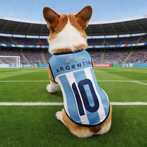 <span class=keywords><strong>Camiseta</strong></span> Deportiva para Mascotas 2026, Argentina, Brasil, Portugal, Francia, Alemania, México, Italia, Inglaterra, Países Bajos, <span class=keywords><strong>España</strong></span>, Francia, Chaleco para Perros y Gatos - Product Image 2