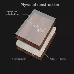 Plaques de contreplaqué E0 modernes de 18 mm/12 mm/16 mm d'épaisseur, écologiques, résistantes au feu et à l'eau, panneaux stratifiés pour meubles d'hôtel et armoires - Product Image 2