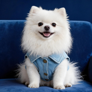 PETCIRCLE Pet Circle Primavera/Verano Lindo Collar con Hebilla para Perro y Gato, Chaqueta Vaquera de San Valentín con Diseño de Oso Adorable - Product Image 1