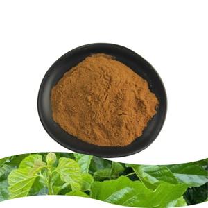 Toptan Saf Dut Yaprağı Ekstresi Tozu Dut Yaprağı Ekstresi - Product Image 2