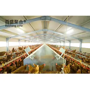 Design Commercial Broiler Chicken Cages For Sale/Chicken Meat Broiler Cages with Automatic Poultry Feeding