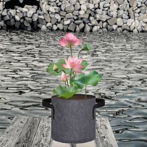 Lot <span class=keywords><strong>de</strong></span> 12 sacs <span class=keywords><strong>de</strong></span> culture en feutre <span class=keywords><strong>pour</strong></span> plantes aquatiques, réutilisables, respirants et portables, avec poignées, <span class=keywords><strong>pour</strong></span> plantes <span class=keywords><strong>de</strong></span> bataille et nénuphars - Product Image 2