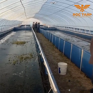 Bâche PVC mobile <span class=keywords><strong>pour</strong></span> <span class=keywords><strong>bassin</strong></span> à poissons, résistante et imperméable, <span class=keywords><strong>pour</strong></span> aquaculture, 500GSM 750GSM, idéale <span class=keywords><strong>pour</strong></span> l'élevage <span class=keywords><strong>de</strong></span> poissons - Product Image 2