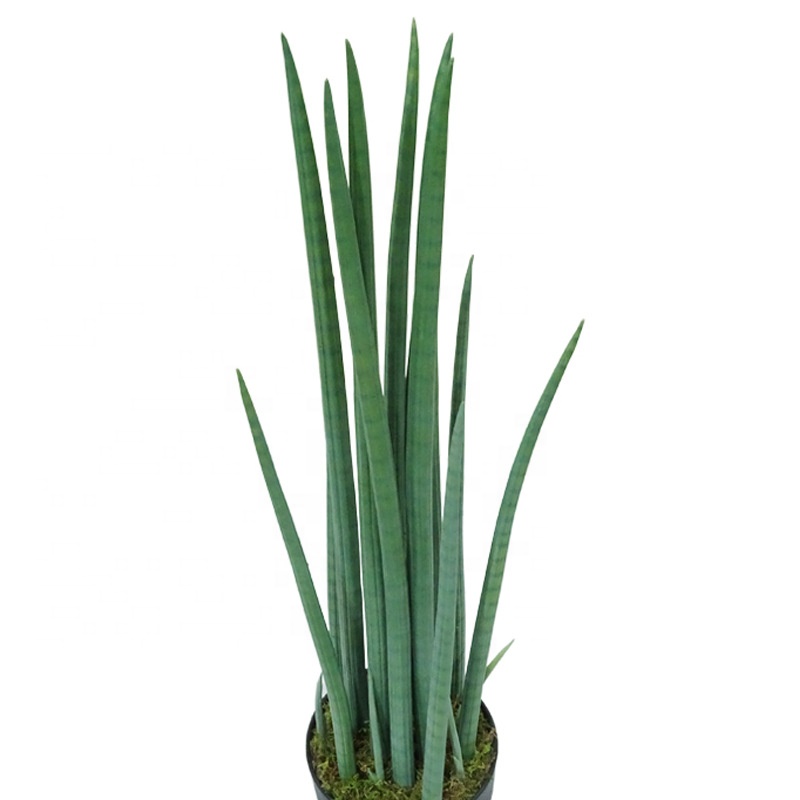 Verde dell'esercito