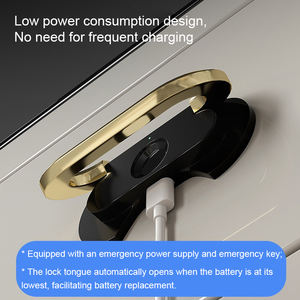 ตัวล็อคเฟอร์นิเจอร์อิเล็กทรอนิกส์ยูเอสบีแม่เหล็กสแกนลายนิ้วมือสำหรับห้องซาวน่า - Product Image 4