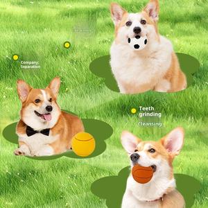 Pelota de juguete para mascotas, fútbol, baloncesto, Mini pelota de tenis, juguete de entrenamiento interactivo, juguete elástico ecológico para perros, venta al por mayor - Product Image 1