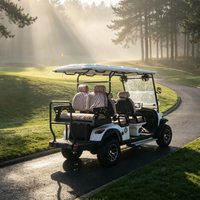 Voiturette de golf électrique personnalisée Rainbow 6 places avec batterie au lithium 72V et moteur 5kw certifiée DOT pour les terrains de golf et les clubs