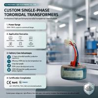 Transformateur toroïdal monophasé, transformateur de puissance 50W-5000W, 110V 240V, enroulement en cuivre, convertisseur de tension 50/60Hz, OEM personnalisé
