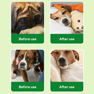 OEM & ODM犬の落ち着いたディフューザーを天然ペパーミントエキスで補充-分離と騒音恐怖症から不安を和らげます - Product Image 5