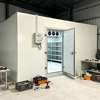 Chambre froide professionnelle pour fleurs et produits frais ; Réfrigérateur extérieur résistant aux intempéries pour la maison ; Chambre froide avec rail à viande pour la transformation de la viande