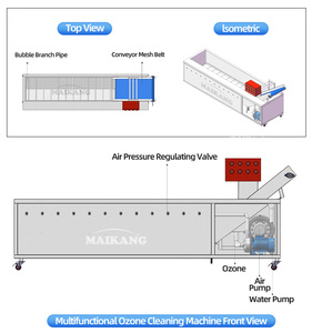Machine de lavage alimentaire à l'ozone intégrée haut de gamme pour prunes, piments, haricots, fleurs comestibles – Équipement de production de précision à haut rendement - Product Image 3