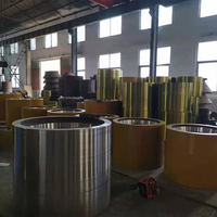 Pièces de concasseur à rouleaux en acier à haute teneur en manganèse pour le processus de moulage de l'exploitation minière de minerai