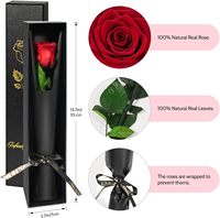 Geconserveerde rozen - Echte rozen uit China voor vrouwen, Moederdag, Valentijnsdag, jubileumgeschenken