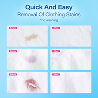 Non toxique Portable détergent à lessive tache décontamination stylo poussière nettoyant huile tache nettoyage tissu tissu détachant stylo