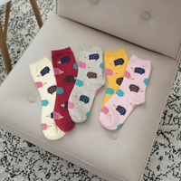 Nouveau printemps automne nouveauté hérisson Animal équipage chaussettes pour femmes adultes adolescentes étudiants anti-dérapant Spandex matériel