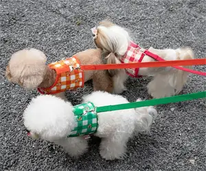 نوع جديد من حزام الكلب المربوط اللطيف برباط للخروج