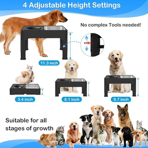 Comederos Elevados de Lujo Personalizados con Logotipo, de Acero Inoxidable 304, con Soporte para Comedero y Bebedero para Mascotas, Antiderrames y de Alimentación Lenta - Product Image 5