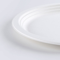Assiettes de bagasse de 9 pouces jetables de haute qualité compostables assiettes en papier de bagasse de canne à sucre biodégradables blanches de 6 pouces