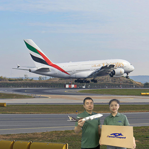 Gümrük komisyoncu FBA yük iletici çin abd'ye kapı hava nakliye hizmeti - Product Image 2