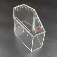 Coffret cercueil magnétique en acrylique de qualité supérieure ART Jumping Spider Tarentula Cage Reptile Terrarium