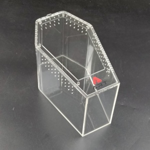 Coffret cercueil magnétique en acrylique de qualité supérieure ART Jumping Spider Tarentula Cage Reptile Terrarium - Product Image 3