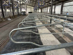 <span class=keywords><strong>Cage</strong></span> pour animaux libre séparée de stalle de vache galvanisée de nouvelle conception - Product Image 5