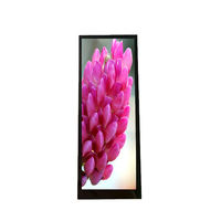 Panel Layar LCD TFT 6,2 Inci dengan Antarmuka MIPI Resolusi 452*1280 - Modul LCD Opsional