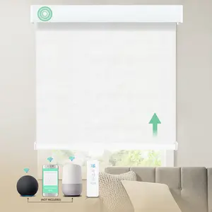 Automatic WiFi Smart Motor Tuya Google Controlled Rechargeable Electric Motorized Roller Shades Blinds Windows Alexa Compatible