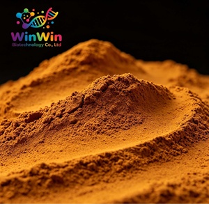 Winwin Supply - Extracto de Champiñones Chanterelle en Polvo, <span class=keywords><strong>Cantharellus</strong></span> <span class=keywords><strong>Cibarius</strong></span> Puro, 10%-50% Polisacáridos - Product Image 2