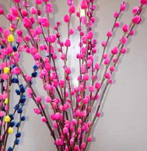 Pussy willow - Product Image 3