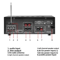 Yüksek Güçlü Stereo Ev & Araba Dış Mekan Amfisi 12V/220V EQ Ekolayzırlı Çift Kullanımlı Karaoke Toptan Satış Mevcut