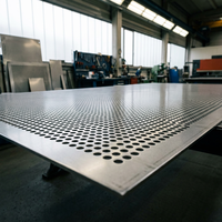 Panneau de treillis perforé galvanisé à chaud, maille ronde de 10 mm, écran de ventilation pour filtre industriel et protection de machine