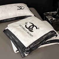 Parure de lit d'été en jacquard soie glacée, ensemble de 4 pièces lavable pour climatisation, drap-housse inclus pour chambre à coucher