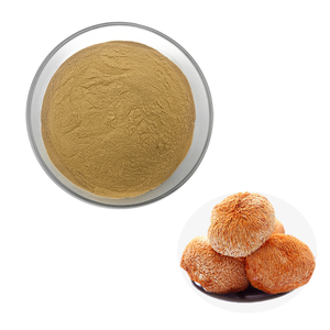 Estratto di Fungo Criniera di Leone Biologico 10% Polisaccaridi 30% Beta Glucano Estratto di Criniera di Leone - Product Image 1